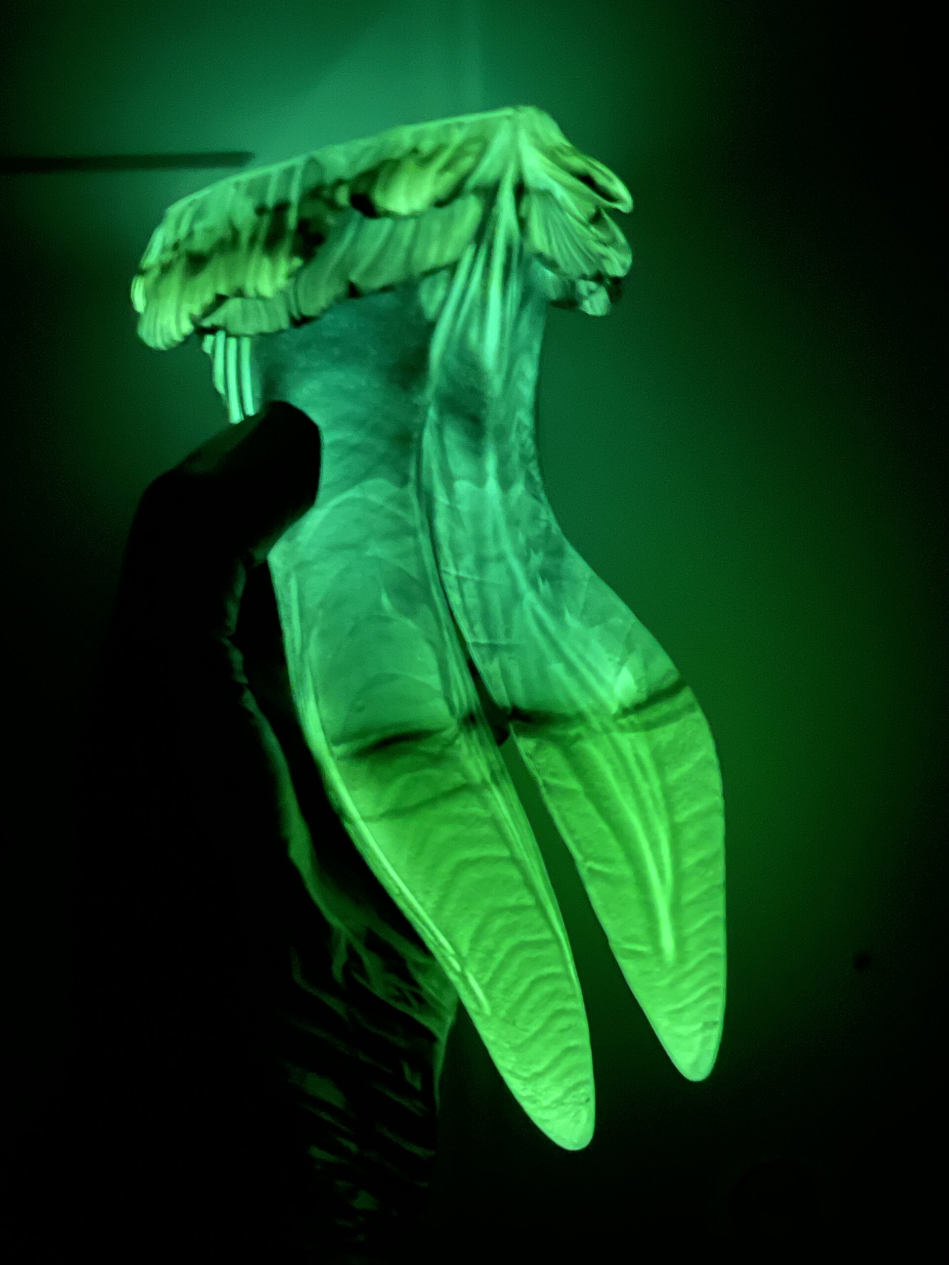 Betta-Mer 7 inch 00-50 shore medium firmness color GREEN PEACOCK with GLOW - Image 5