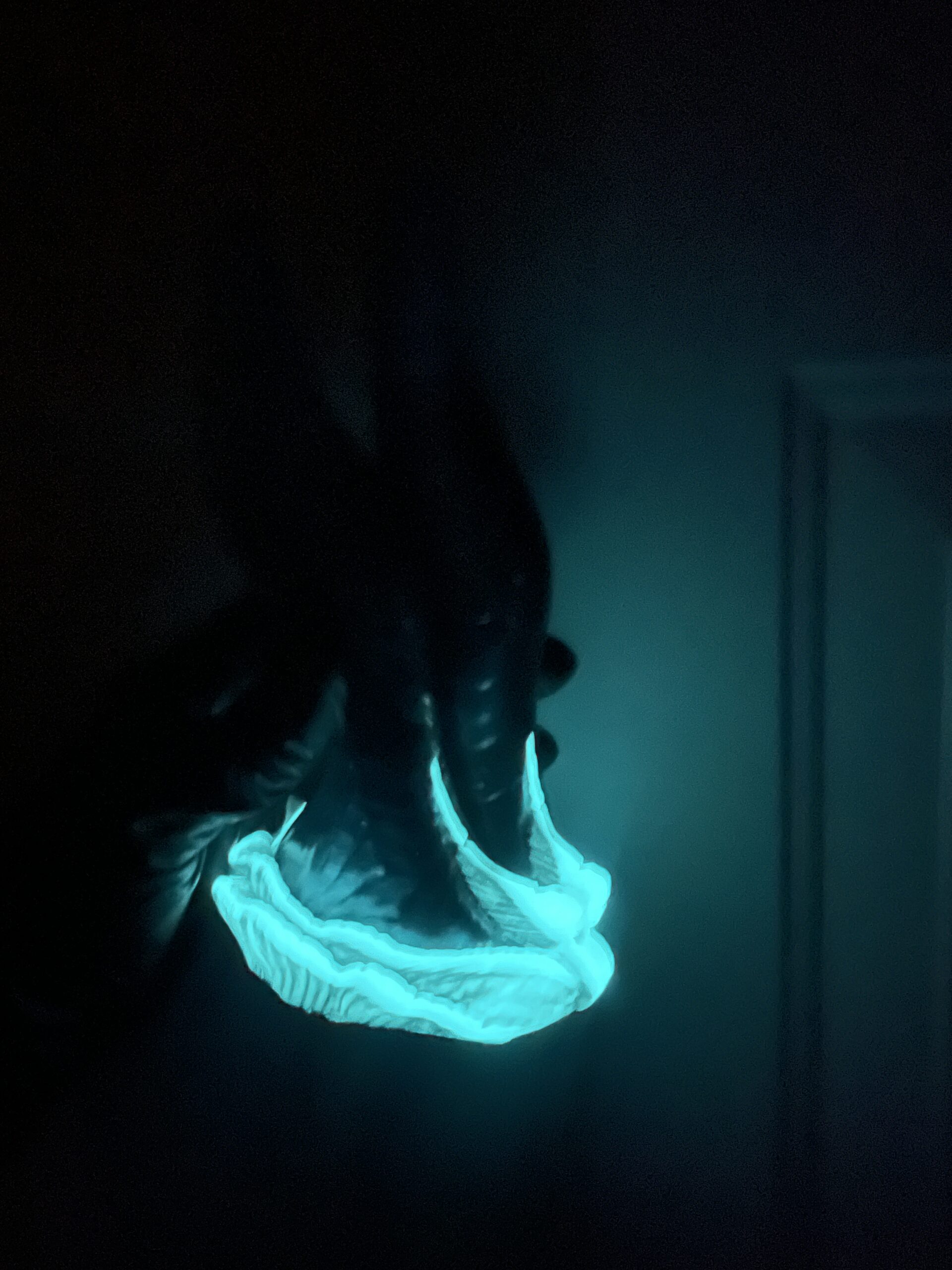 Betta-Mer mermaid fantasy dildo Deep-Sea – fins glowing in the dark